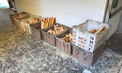 Facevano il pane in mezzo alle trappole per topi FOTO