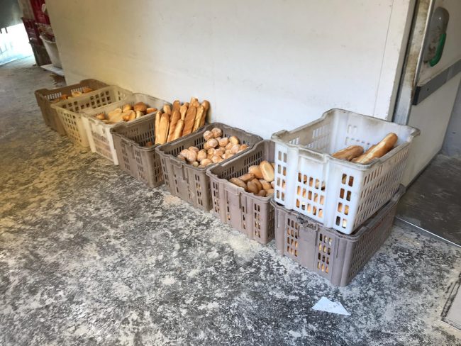 Facevano il pane in mezzo alle trappole per topi FOTO