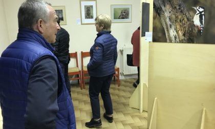 Roberto Musumeci in mostra con «Visti da vicino» FOTO