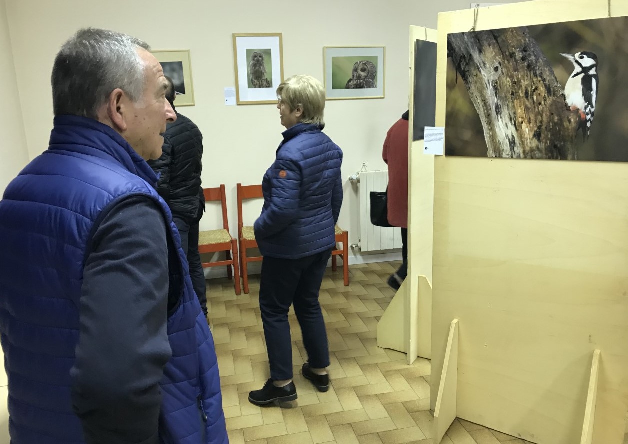 Roberto Musumeci in mostra con «Visti da vicino» FOTO