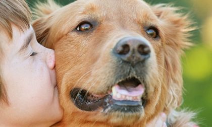 Convivenza e benessere degli amici a quattro zampe, proseguono le iniziative