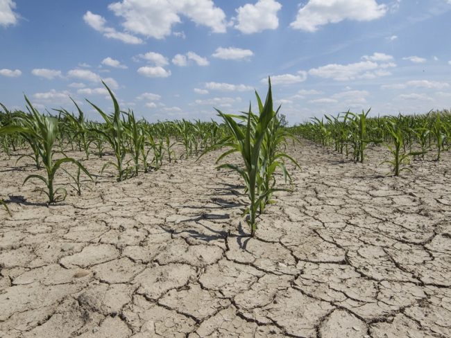 Siccità, in Lombardia (per ora) no a razionamenti dell’acqua per uso civile