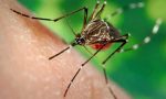 Proseguono gli interventi in città per il contenimento delle zanzare