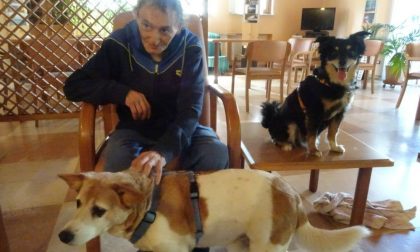 Pet Therapy in Hospice: quando la relazione si fa terapia