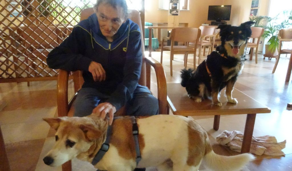 Pet Therapy in Hospice: quando la relazione si fa terapia