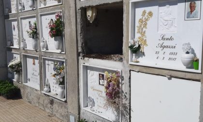 Api, vespe o calabroni al cimitero di Gradella? Scoppia la polemica FOTO