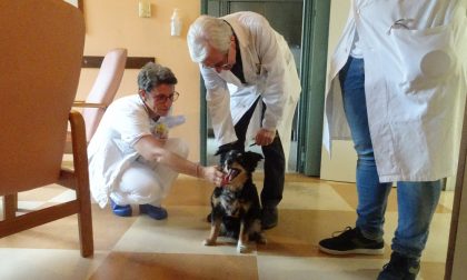 La Pet Therapy dell'Hospice di Cremona ai giovedì d'estate
