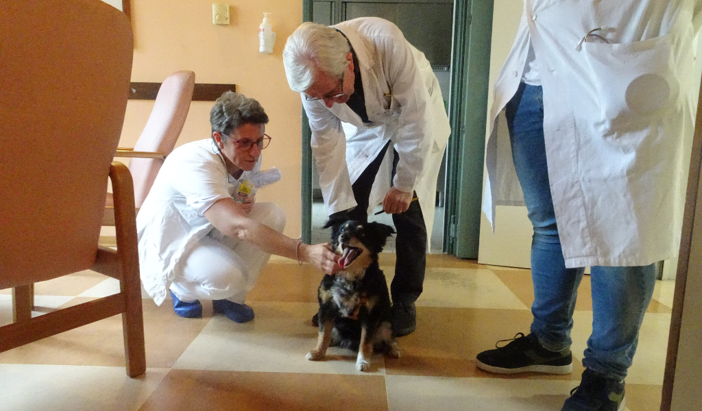 La Pet Therapy dell’Hospice di Cremona ai giovedì d’estate