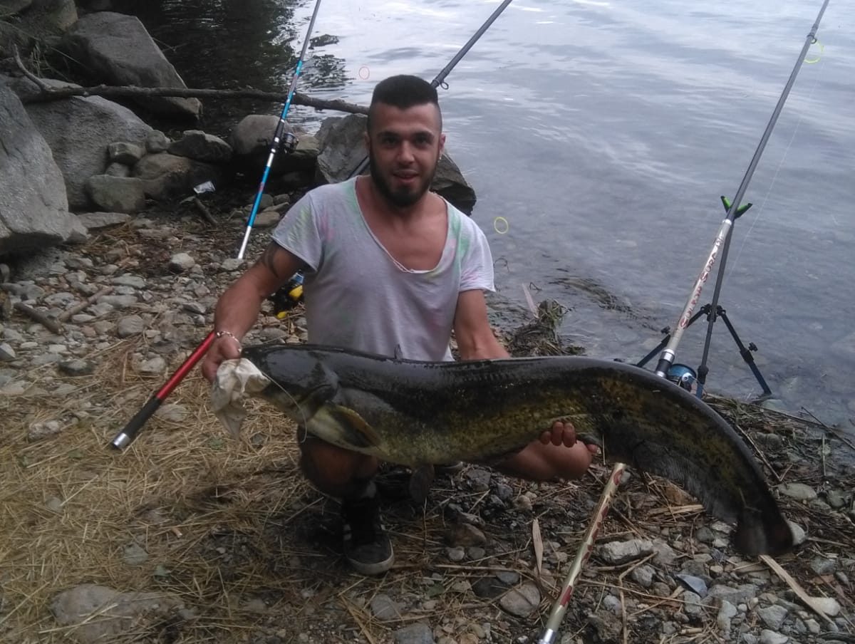Caccia al siluro: pescato esemplare di oltre 20 kg VIDEO