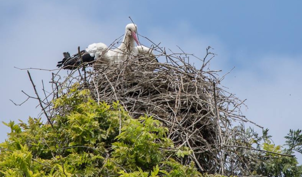 Parco Bertone aperto anche a ferragosto per una giornata nella natura