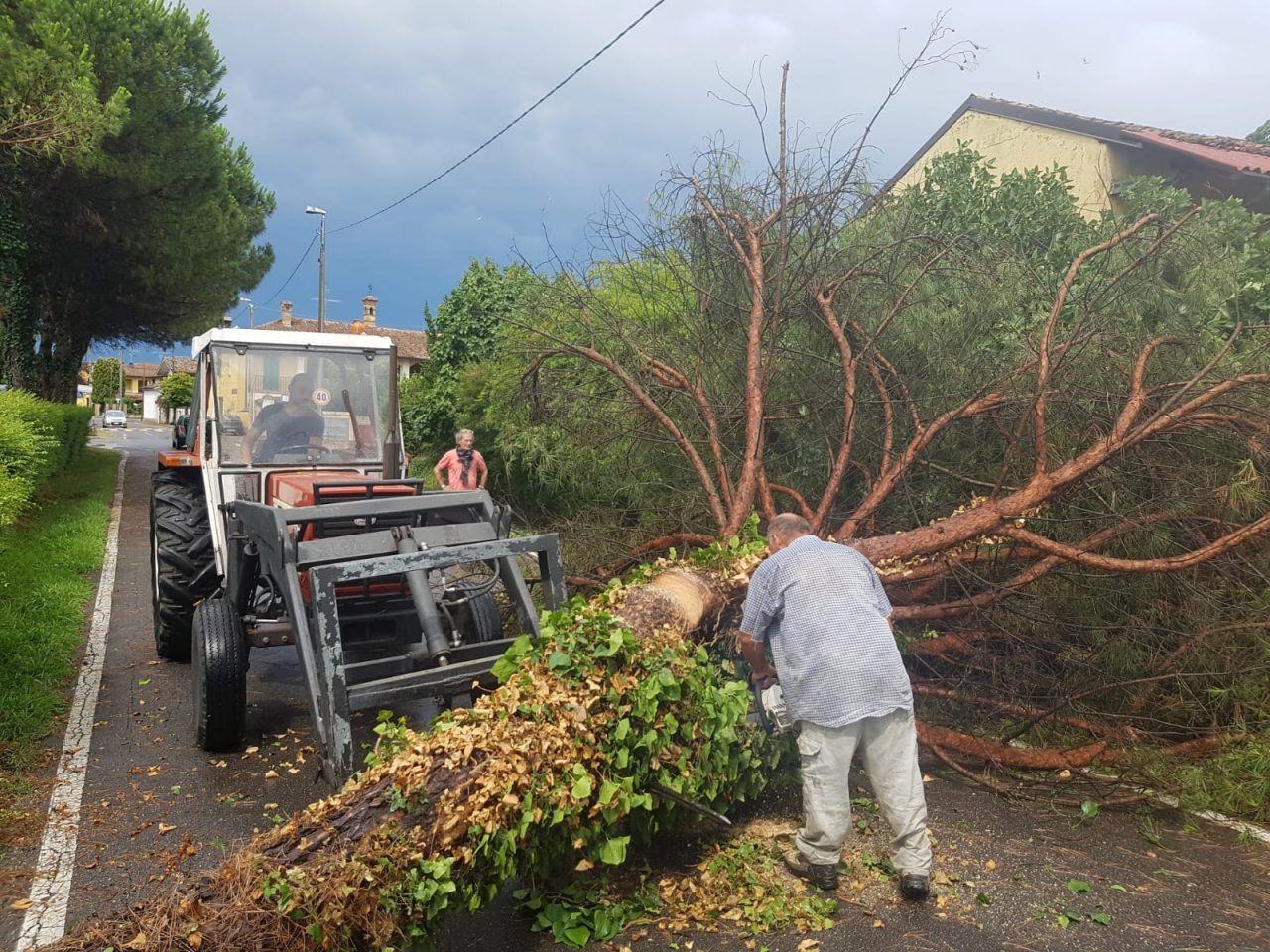 Bufera, ad Agnadello un albero si schianta sul viale del cimitero FOTO