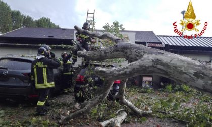 Il maltempo è arrivato: diversi allagamenti e alberi caduti