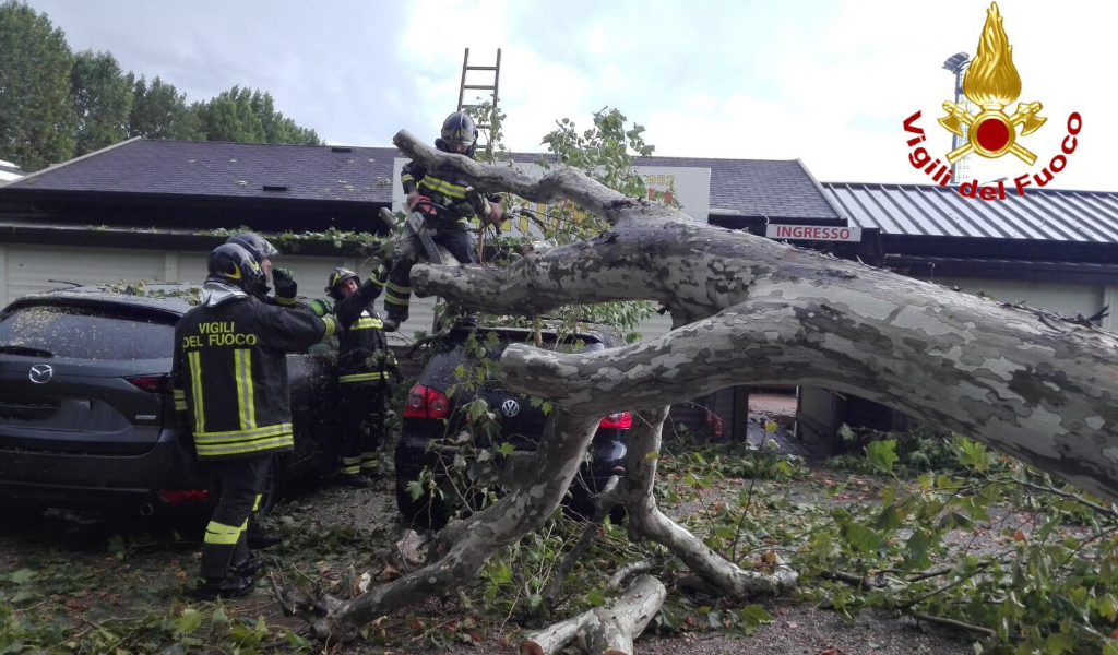 Il maltempo è arrivato: diversi allagamenti e alberi caduti