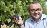 Al via la vendemmia, ma previsto già - 20%di produzione di vino causa maltempo