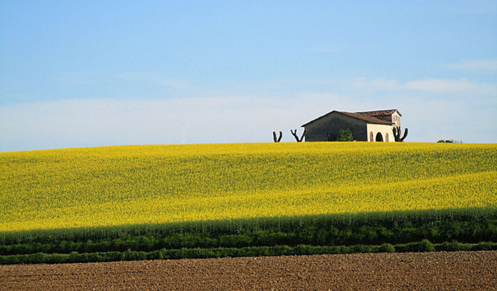 Giovani in agricoltura: fondi per 100mila euro a 5 aziende cremonesi