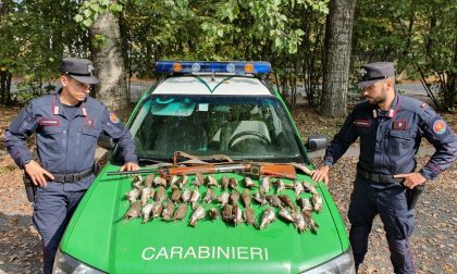 Caccia, Abbattono 40 tordi con richiami vietati: denunciati