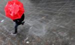 Piogge forti e temporali: scatta l'allerta meteo della Protezione Civile