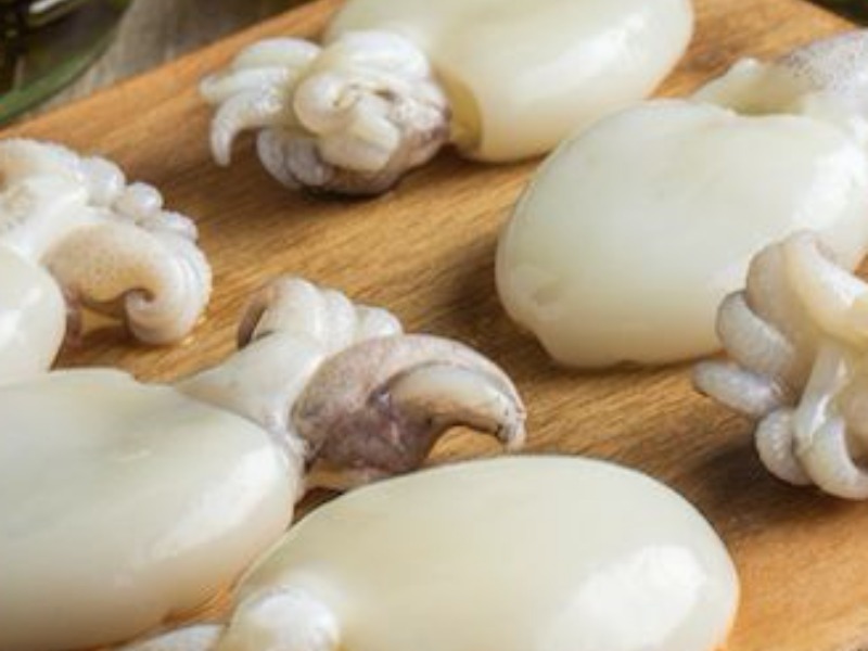 Ritirate del commercio seppie surgelate per rischio chimico