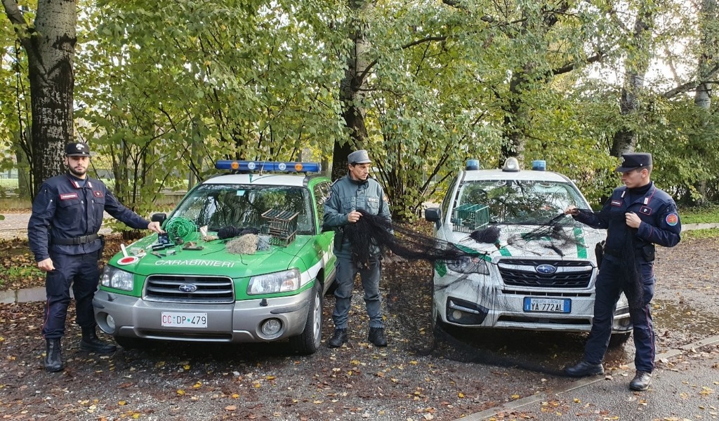 Attività illegale di uccellagione: denunciati due bracconieri
