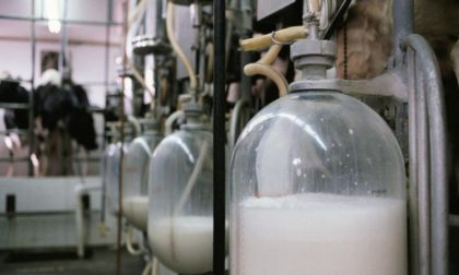 Latte, nuovo prezzo alla stalla: trovato accordo in Lombardia