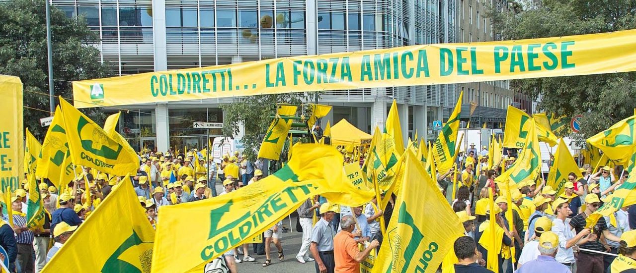 Prezzi, stop alle speculazioni: allevatori e agricoltori in piazza (anche a Cremona)