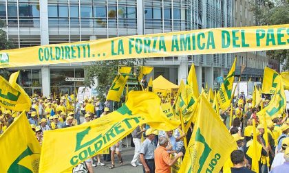 Prezzi, stop alle speculazioni: allevatori e agricoltori in piazza (anche a Cremona)
