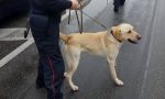 Spaccio nei parchetti del casalasco: scatta il blitz dei carabinieri