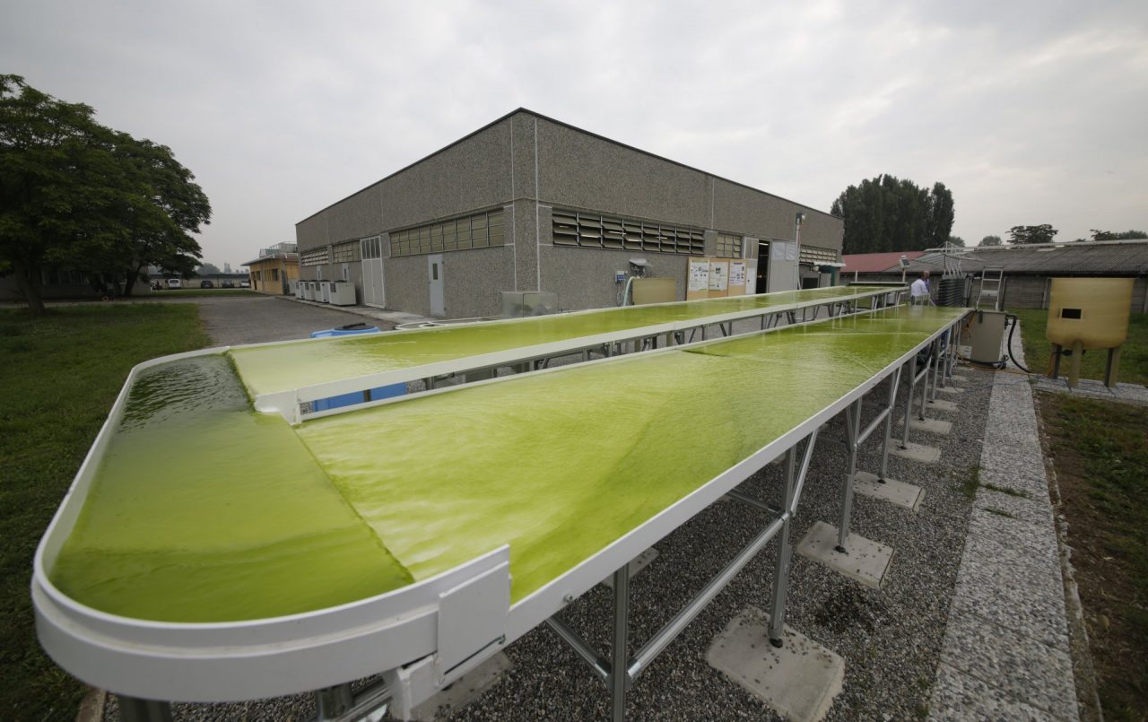 L’Istituto Spallanzani di Rivolta ad Ecomondo per promuovere l’economia circolare