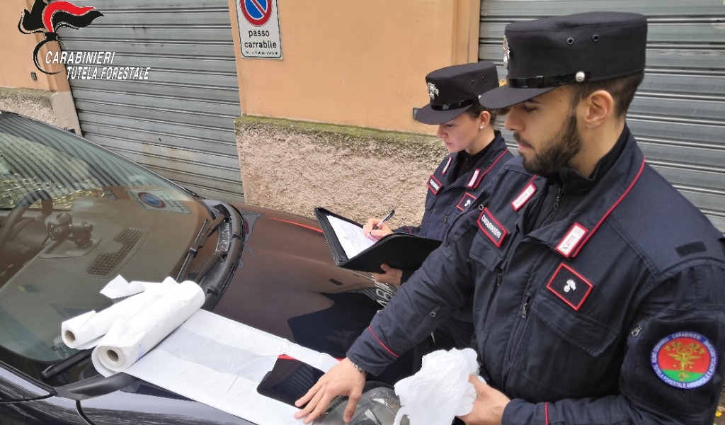 Saracinesca abbassata ma locale aperto: scoperti e multati 13 clienti