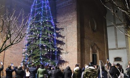 A Nosadello acceso un albero di Natale con cinquemila luci led