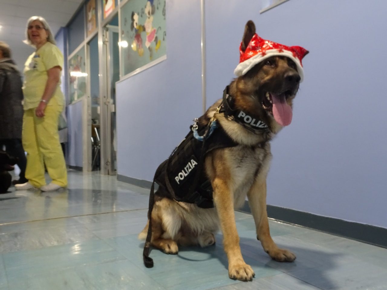 Natale a sorpresa in pediatria e oncologia: arrivano le unità cinofile della Polizia