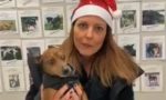 “Un cane per le feste”: adotta un cucciolo per Natale e poi (se vuoi) puoi restituirlo