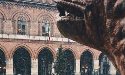 La magia della neve a Cremona raccontata attraverso Instagram FOTO