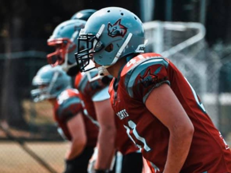 I Wildcats Cremona si arrendono alla superiorità dei Vikings