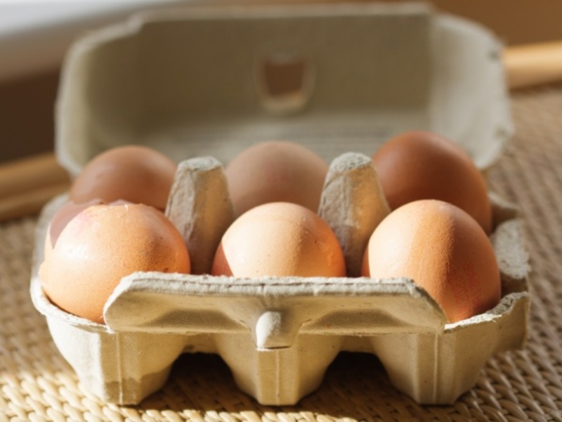 Uova biologiche Amadori e Conad ritirate: rischio microbiologico