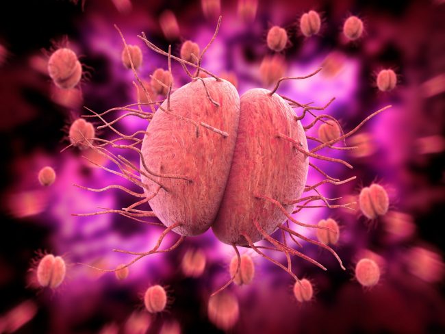Meningite: a Brescia via alle vaccinazioni nelle scuole