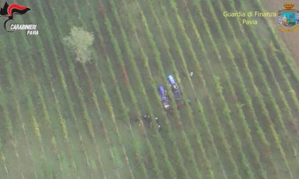 In manette 5 titolari di aziende vinicole ed enologi: vendevano vino DOC contraffatto VIDEO E FOTO