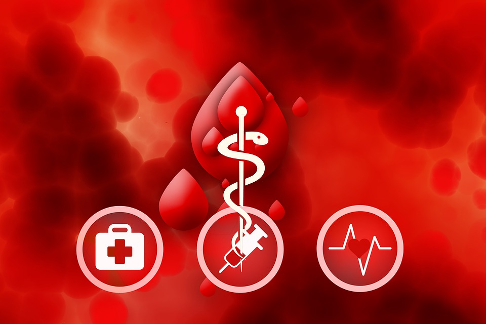 Sensibilizzare al dono del sangue: accordo tra Comune e AVIS Cremona