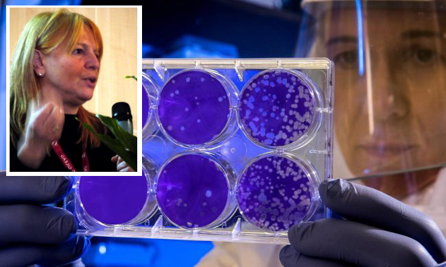 Coronavirus: ceppo italiano isolato al Sacco. A capo del team la cremonese Claudia Balotta