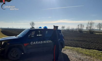 Trovati lavoratori in nero in azienda agricola, sanzioni e attività sospesa