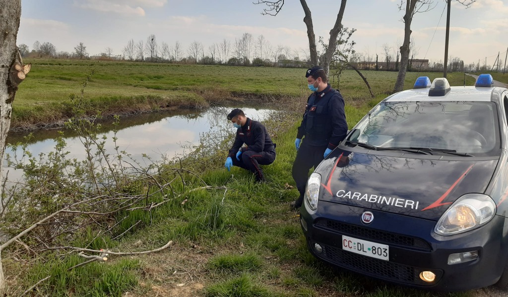 L’attività di spaccio continua nonostante i divieti, e piovono denunce tra le campagne