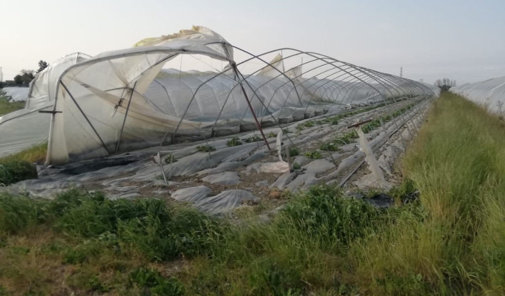 Bufere di vento sulla Lombardia: serre e tetti divelti tra Cremona e Mantova FOTO