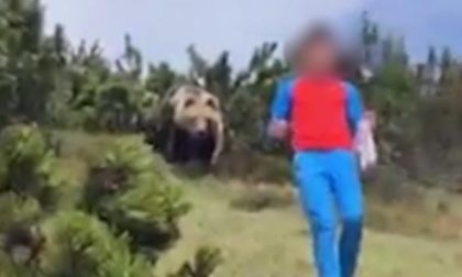 L’incredibile video del ragazzino trovatosi a tu per tu con l’orso