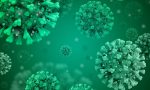 Coronavirus, 6.391 positivi: la situazione a Cremona e provincia lunedì 25 maggio 2020
