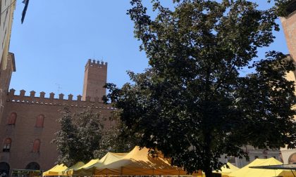 Campagna Amica torna domani in piazza Stradivari a Cremona