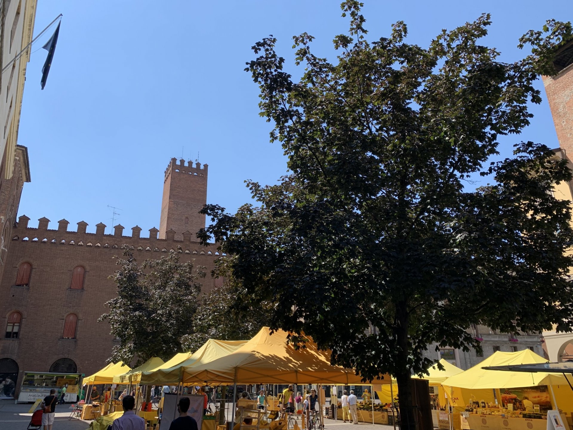 foto piazza stradivari cremona