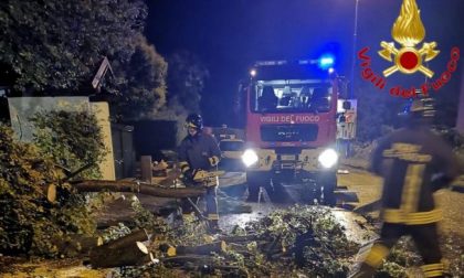 Forte temporale nella notte, allagamenti e diversi alberi caduti