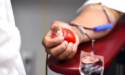 Avis Lombardia: 545 mila atti d’amore che salvano la vita