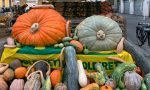 Giornata della zucca al Mercato di Campagna Amica di Crema