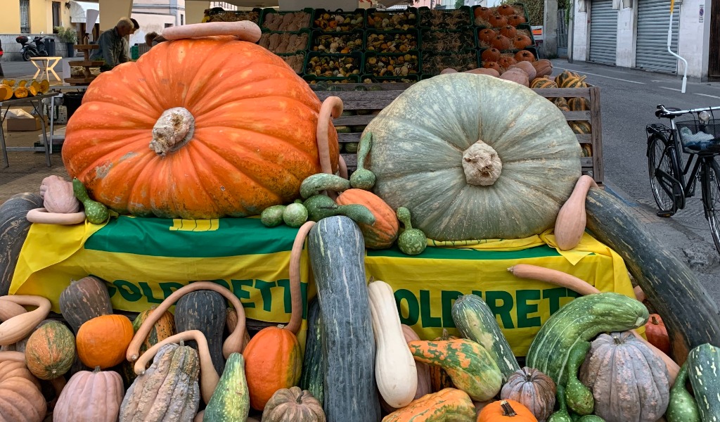 Giornata Della Zucca Al Mercato Di Campagna Amica Di Crema Prima Cremona